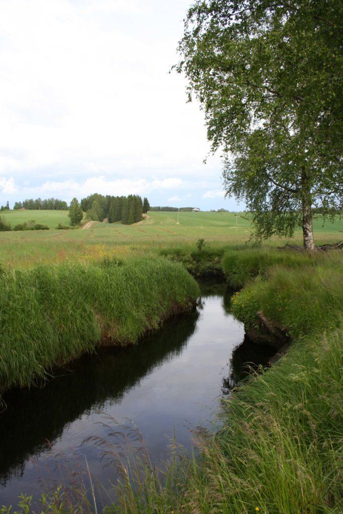 Hyyp njokilaakso Kauhajoen Kaupunki