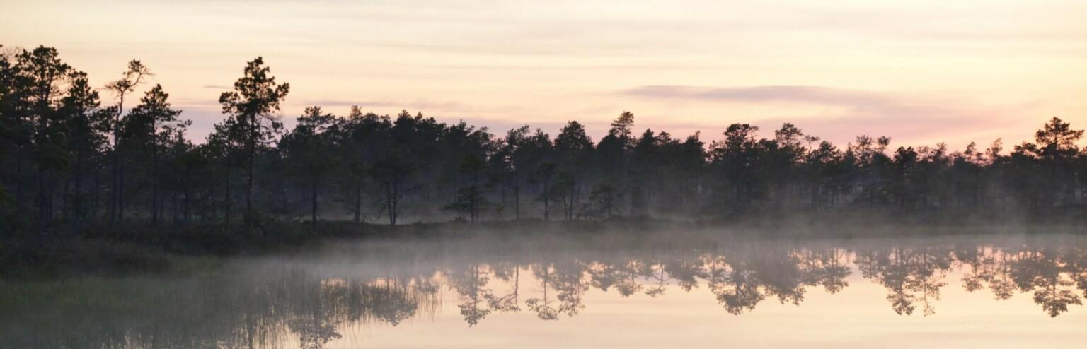 Kauhaneva kesäyössä