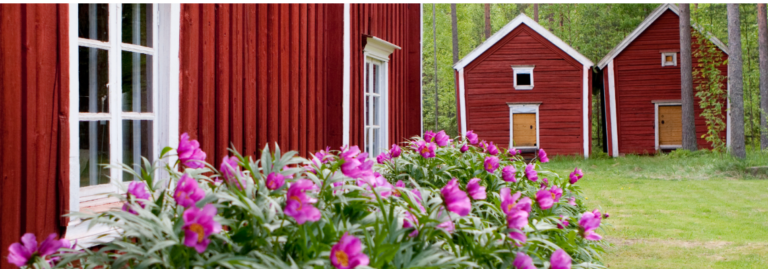Piknik-henkinen yhteisöllinen maalaustapahtuma Kauhajoen museolla