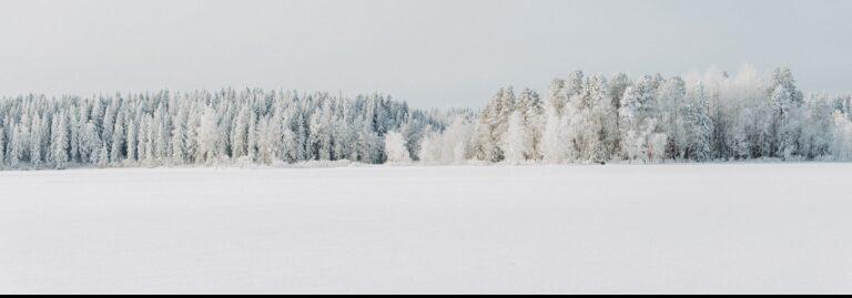 Avoin jouluruokailu Elsa Resortissa